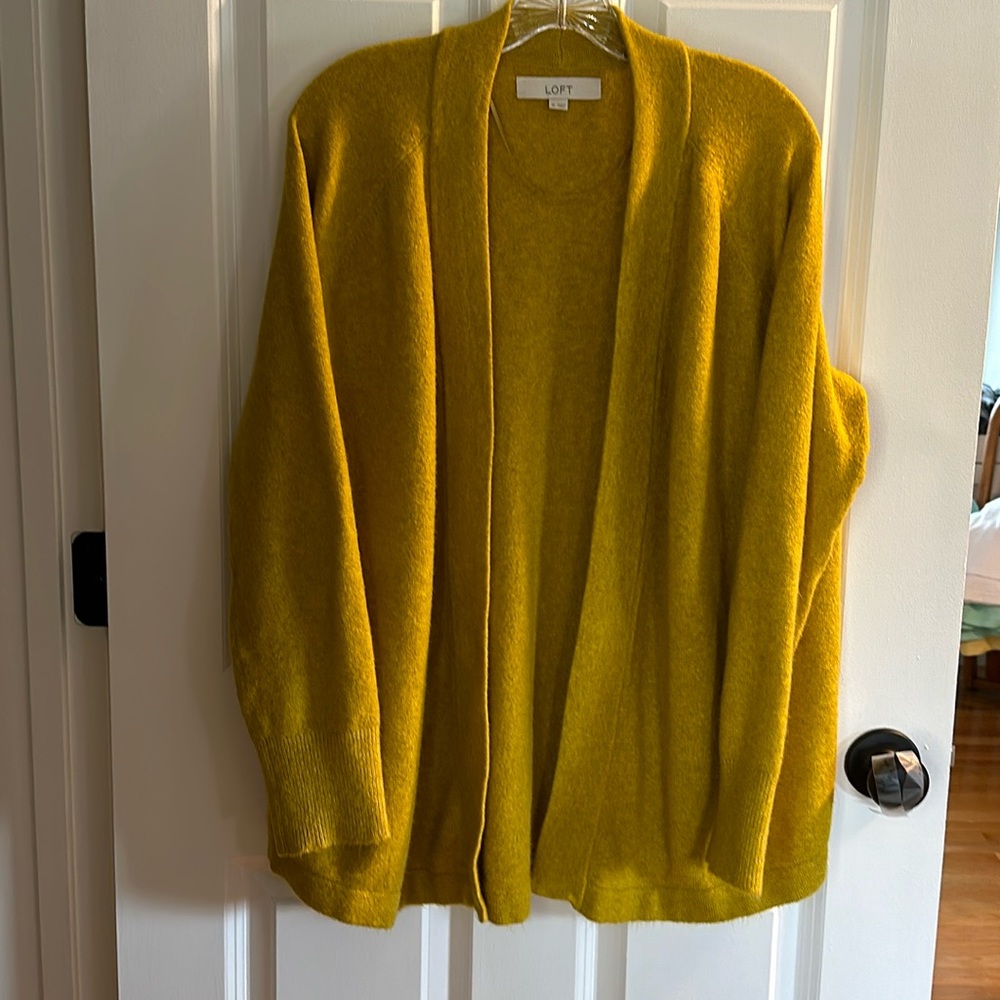 Loft Cardigan Sweater